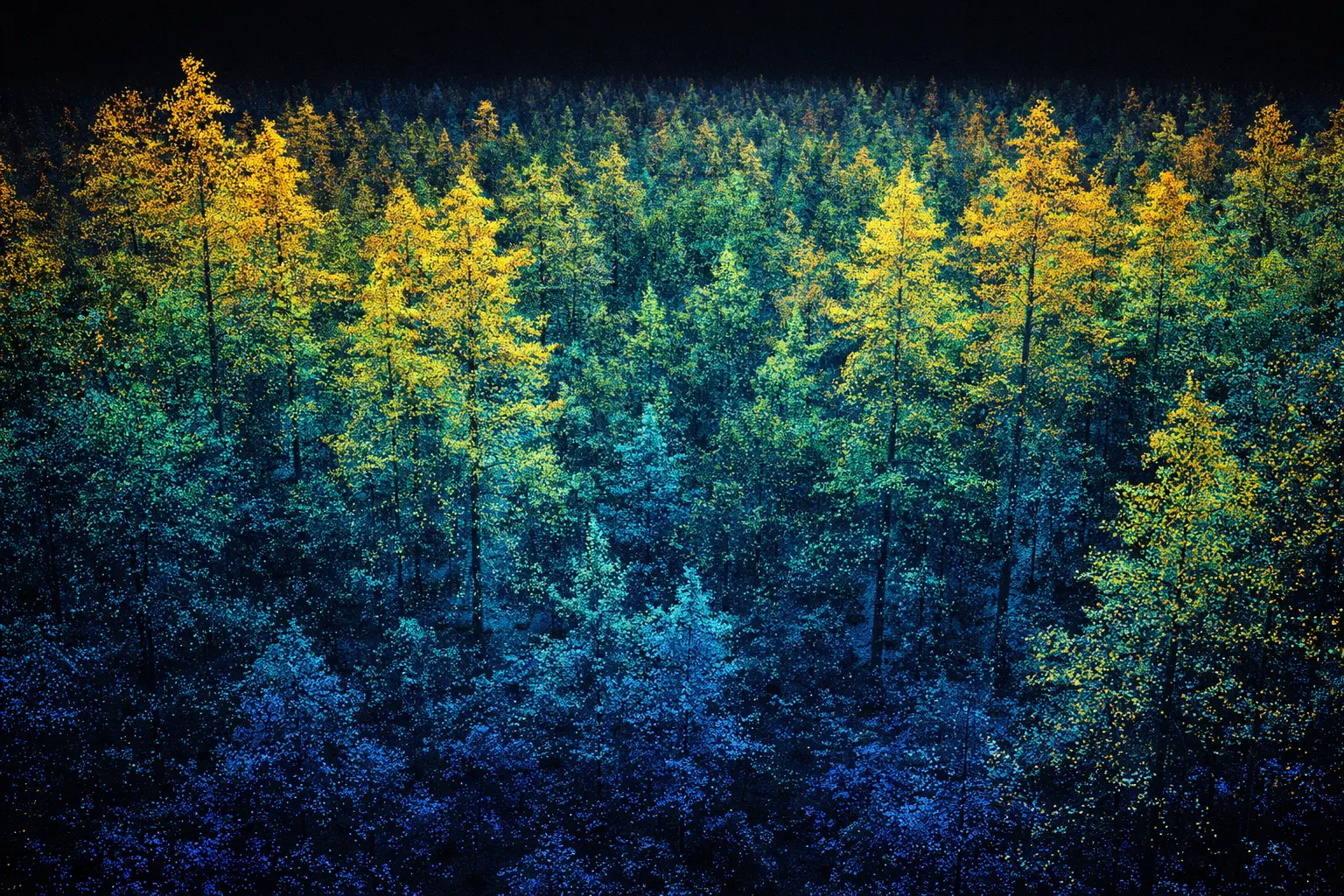 Terrestrial LiDAR Point Clouds